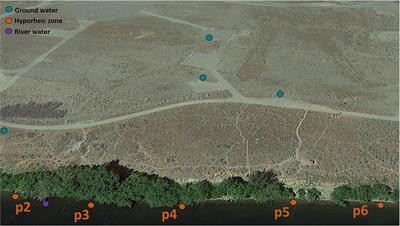 Coupled Biotic-Abiotic Processes Control Biogeochemical Cycling of Dissolved Organic Matter in the Columbia River Hyporheic Zone